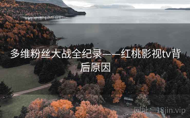 多维粉丝大战全纪录——红桃影视tv背后原因