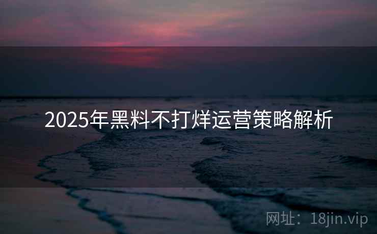 2025年黑料不打烊运营策略解析