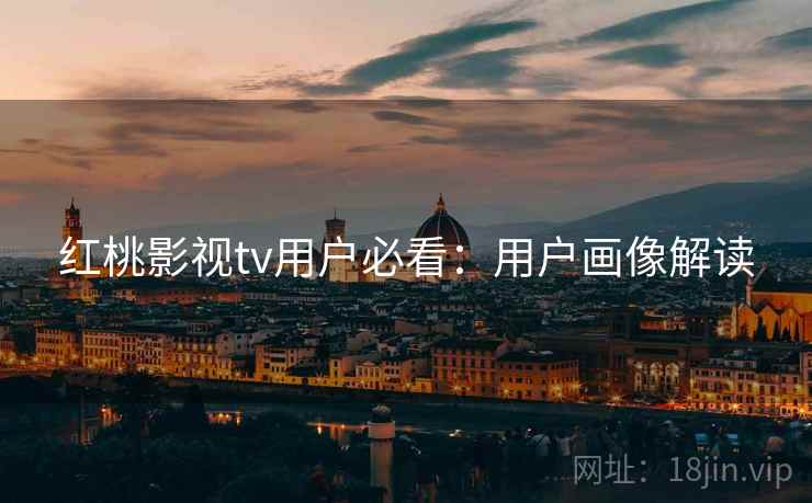 红桃影视tv用户必看：用户画像解读