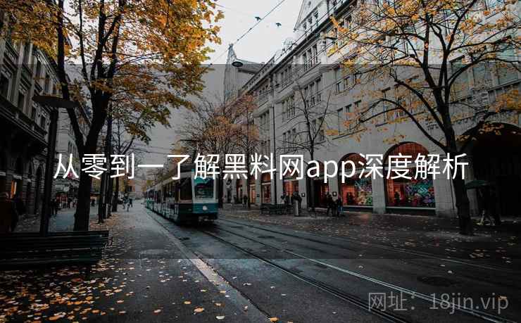 从零到一了解黑料网app深度解析