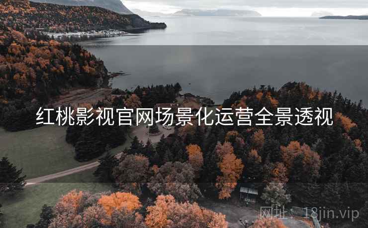 红桃影视官网场景化运营全景透视