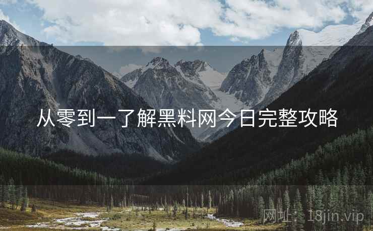从零到一了解黑料网今日完整攻略