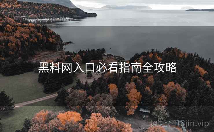 黑料网入口必看指南全攻略