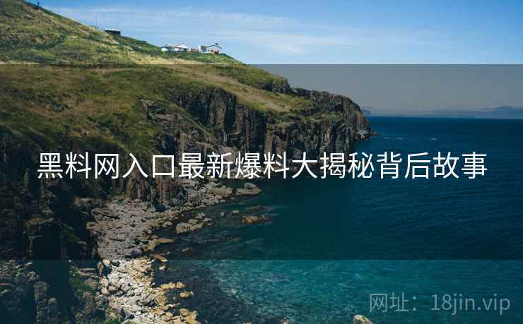 黑料网入口最新爆料大揭秘背后故事